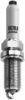VW 06K905601B Spark Plug